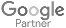 Dallas Google partner