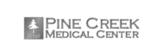 Sculpt client
